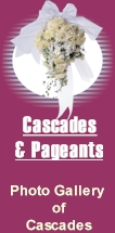 Cascade Designs