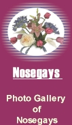 Nosegay Designs